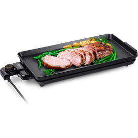 PLANCHA ASPEN 2500W...