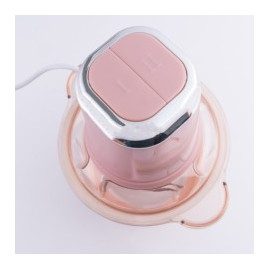 Hachoir 300W Bol En Plastique 2L
