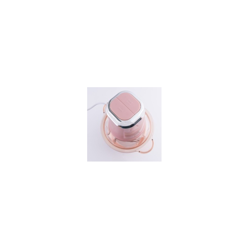Hachoir 300W Bol En Plastique 2L