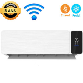 CLIMATISEUR BIOLUX 18000CF...